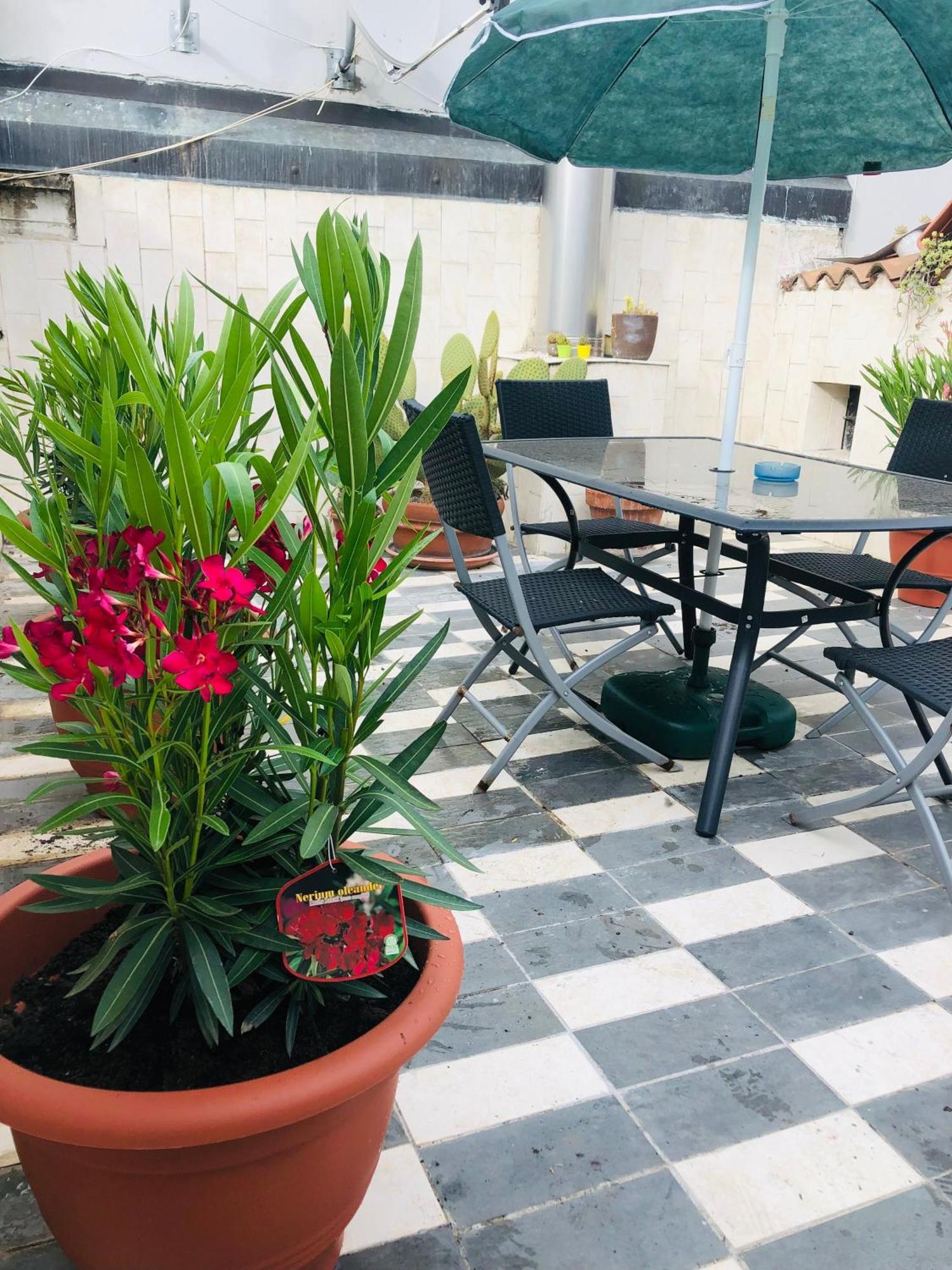 Appartement La Terrazza Di Aida à Vérone Extérieur photo